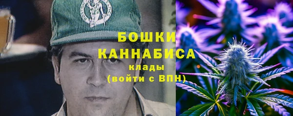 apvp Протвино