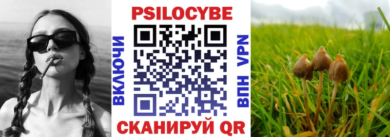Галлюциногенные грибы Psilocybe Пыть-Ях