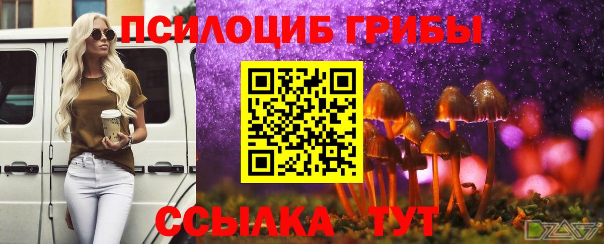Пыть-Ях  где купить наркоту  Вход с VPN  Псилоцибиновые грибы Cubensis  Псилоцибиновые грибы MAGIC MUSHROOMS 